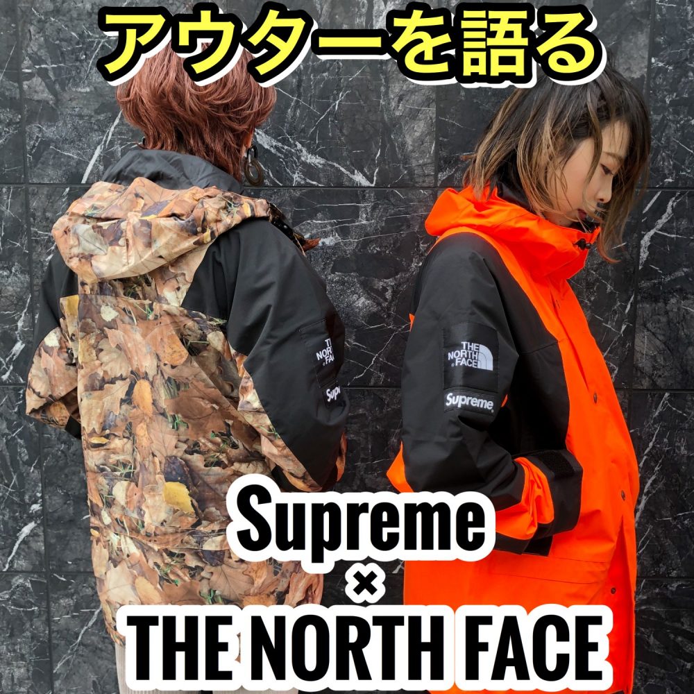 supreme  northface 16fw 枯れ葉